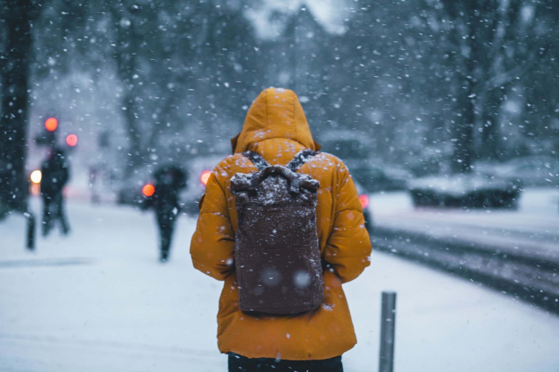 Someone walking in the snow.